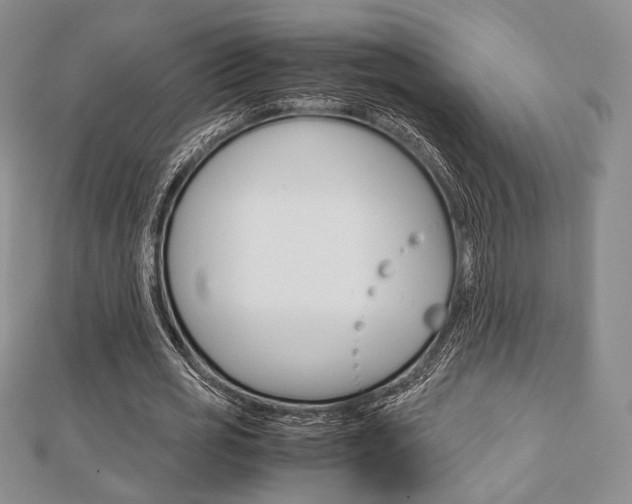 X0000112810725200908210937