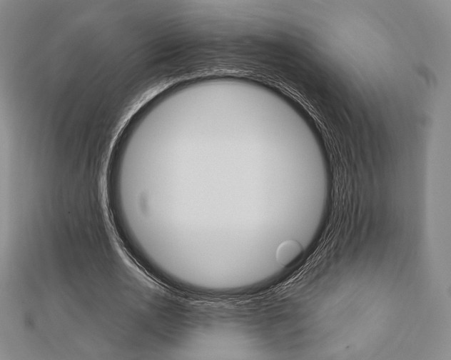 X0000112810726200908210937