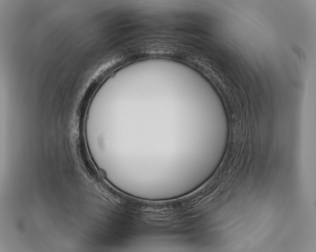 X0000112810727200908210938