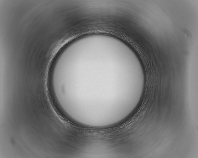 X0000112810728200908210938