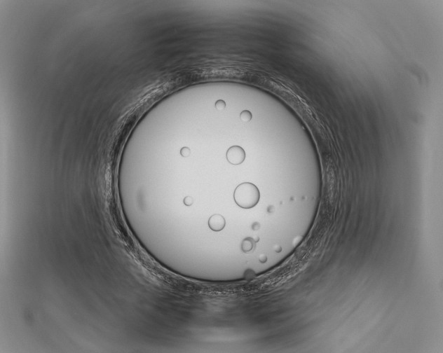 X0000112810729200908210938