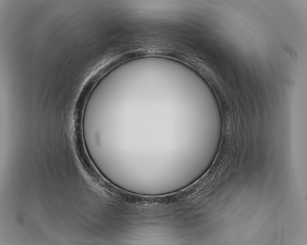 X0000112810730200908210938