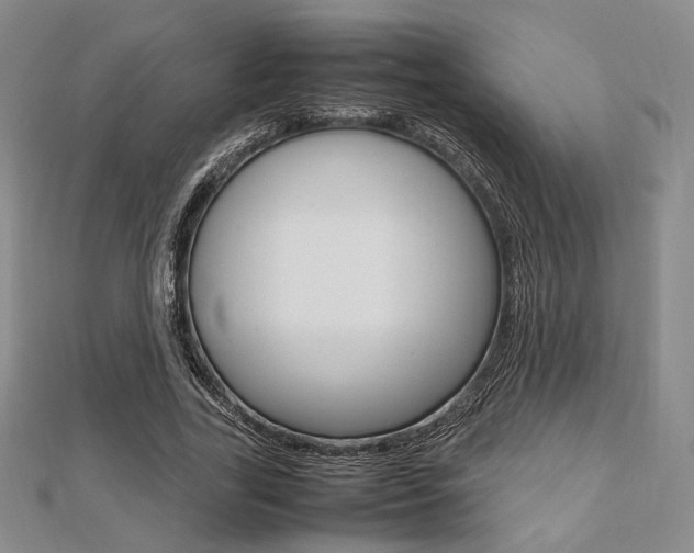 X0000112810731200908210938