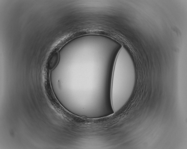 X0000112810732200908210938