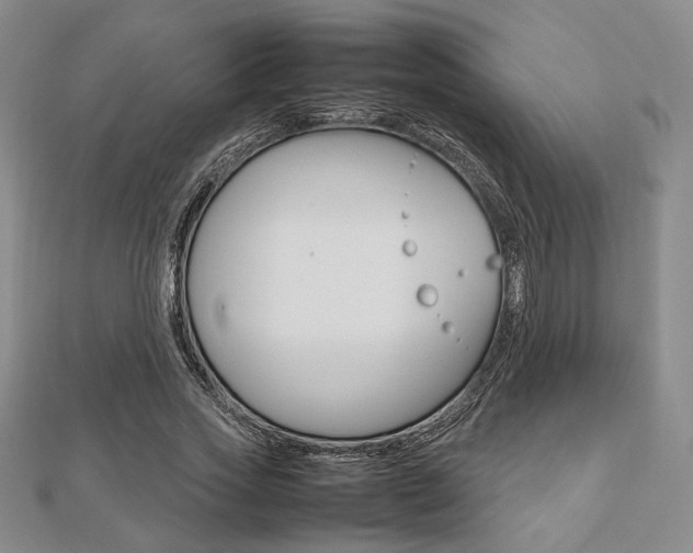 X0000112810733200908210938