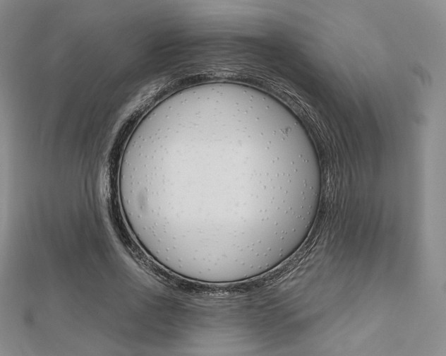 X0000112810734200908210938