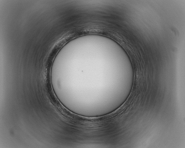 X0000112810735200908210938