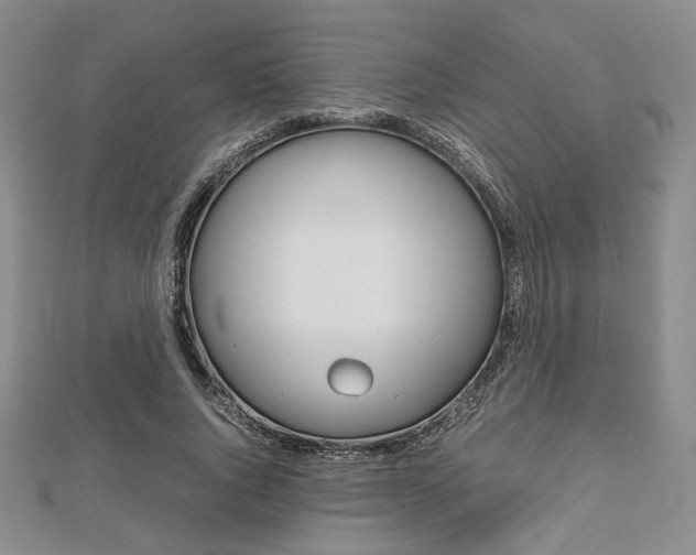 X0000112810736200908210938
