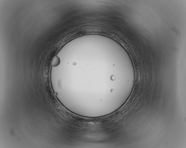 X0000112810737200908210938