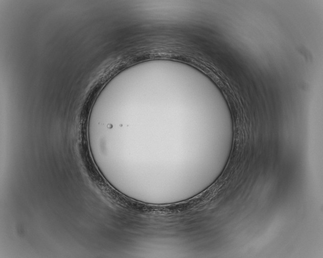 X0000112810738200908210938