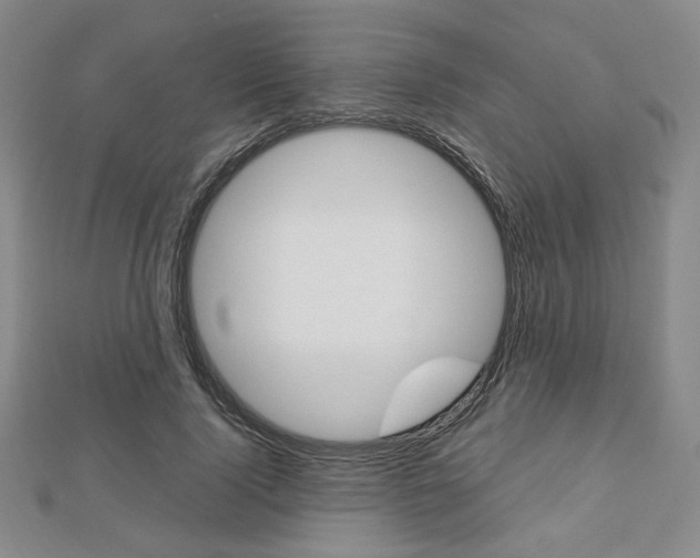 X0000112810740200908210938