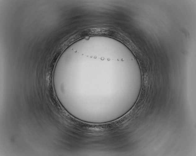 X0000112810741200908210938