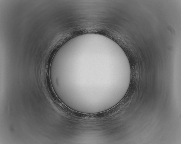 X0000112810742200908210938