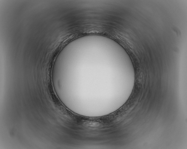 X0000112810743200908210938