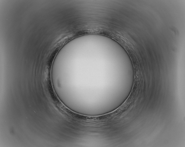 X0000112810744200908210938