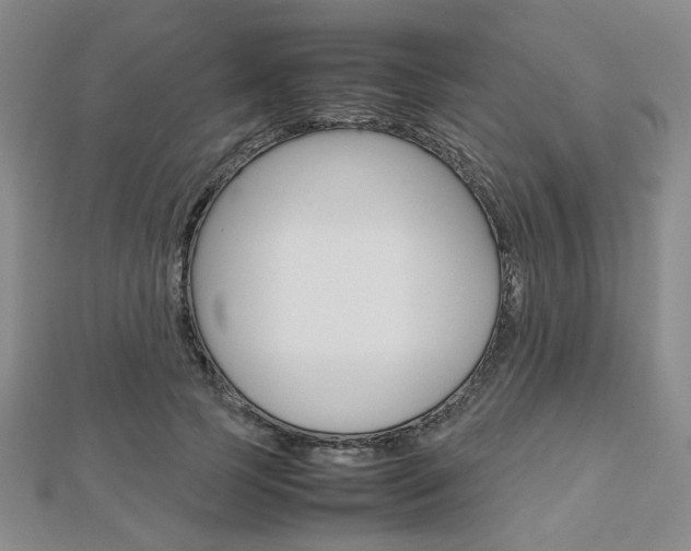 X0000112810745200908210938