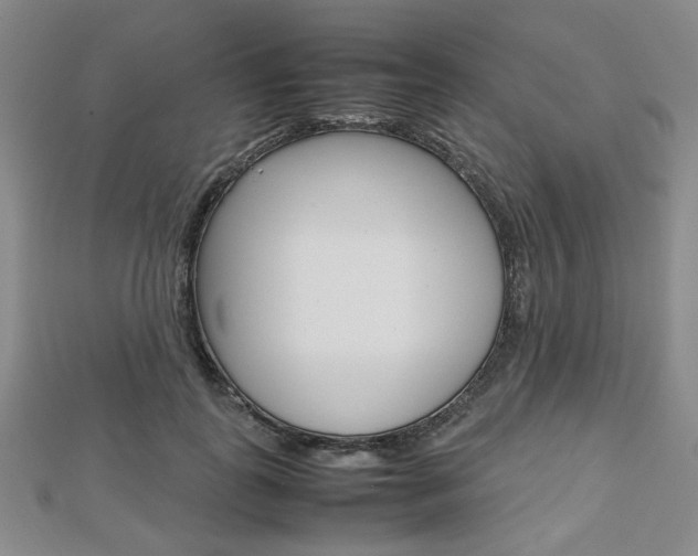 X0000112810747200908210938