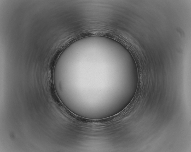 X0000112810748200908210938