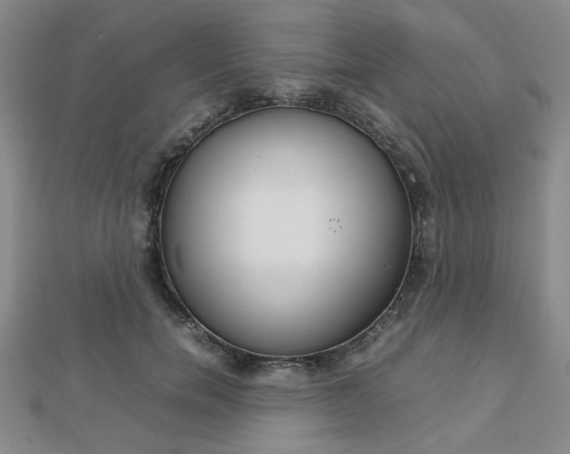 X0000112810750200908210938