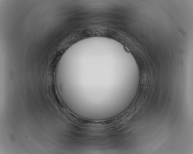 X0000112810751200908210938