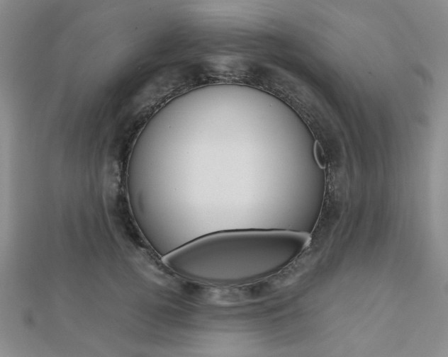 X0000112810752200908210938