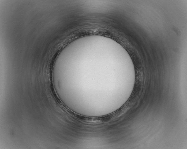 X0000112810754200908210938