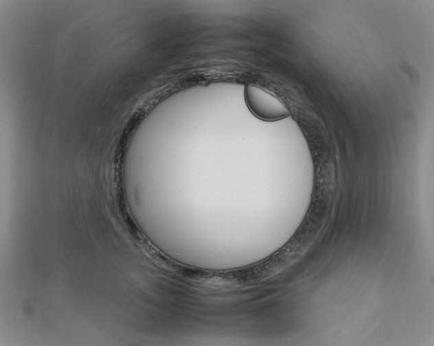 X0000112810755200908210938