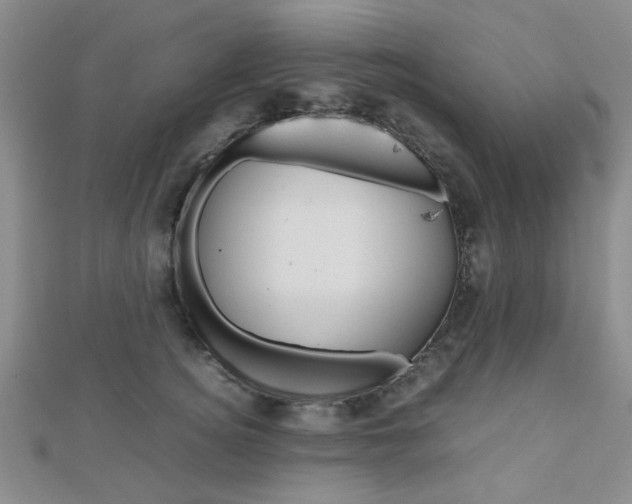 X0000112810756200908210938