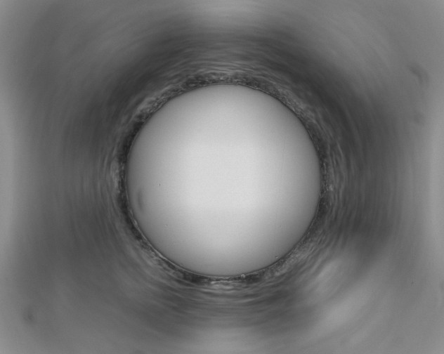 X0000112810758200908210938