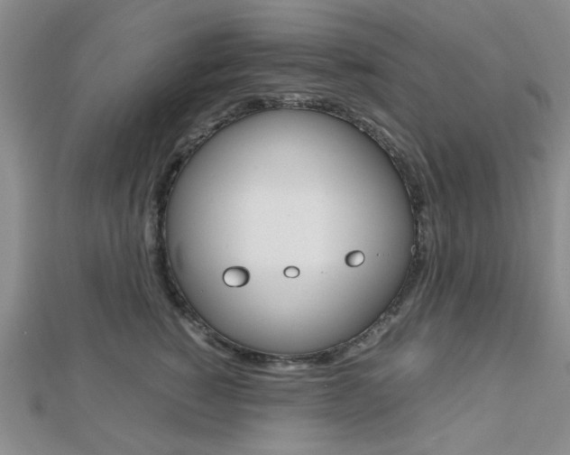 X0000112810760200908210938