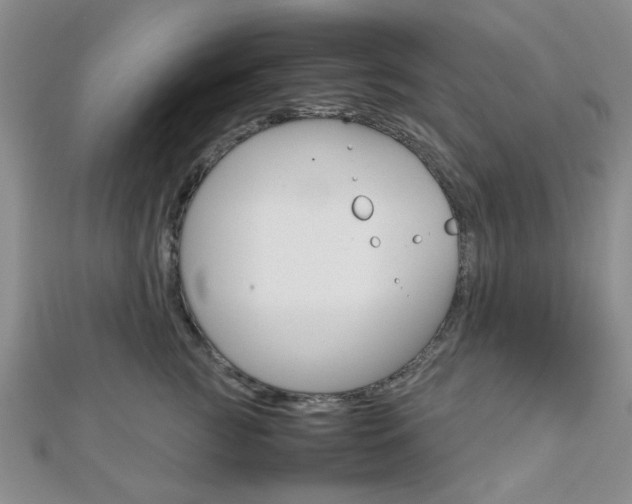 X0000112810761200908210938