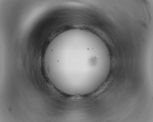X0000112810762200908210938