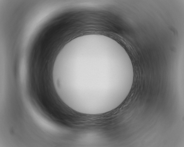X0000112810764200908210938