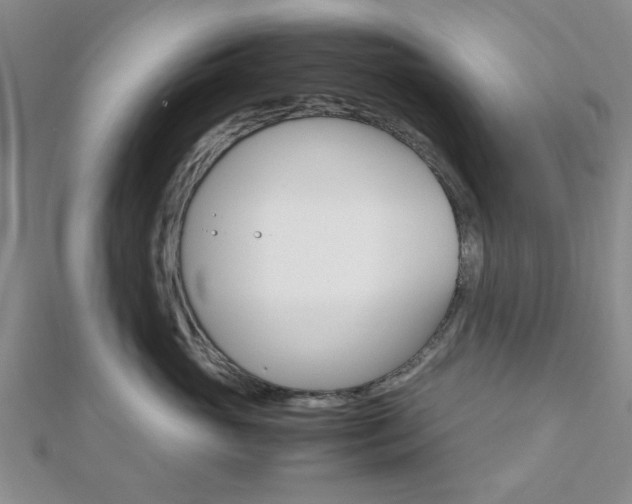 X0000112810765200908210938