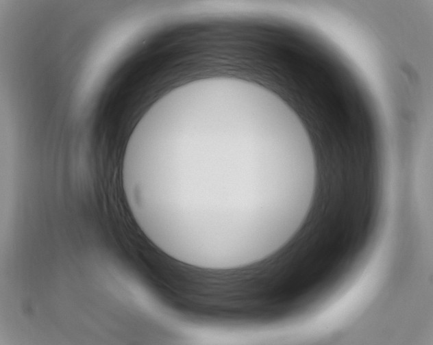 X0000112810766200908210938