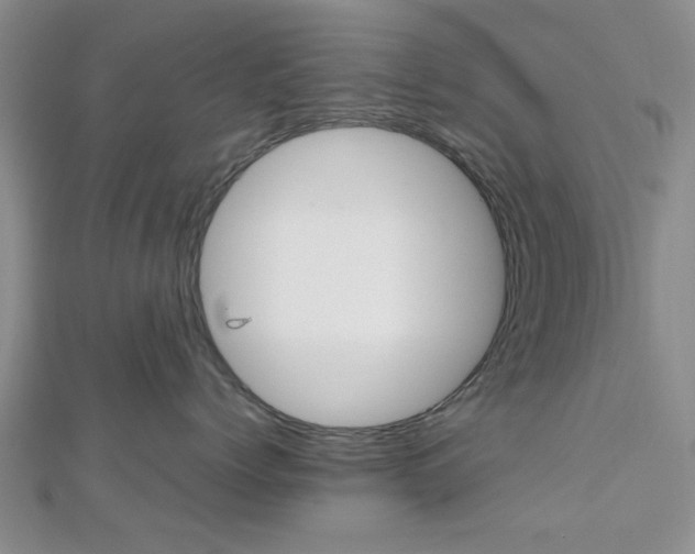 X0000112810768200908210938