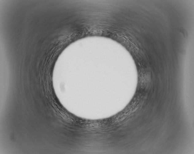 X0000112810769200908210937