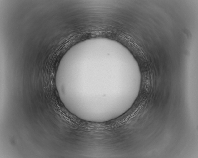 X0000112810770200908210937
