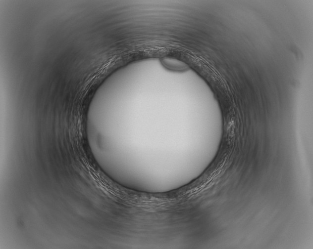 X0000112810772200908210937