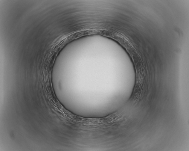 X0000112810773200908210937