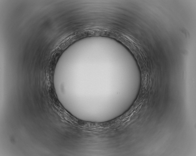 X0000112810774200908210937