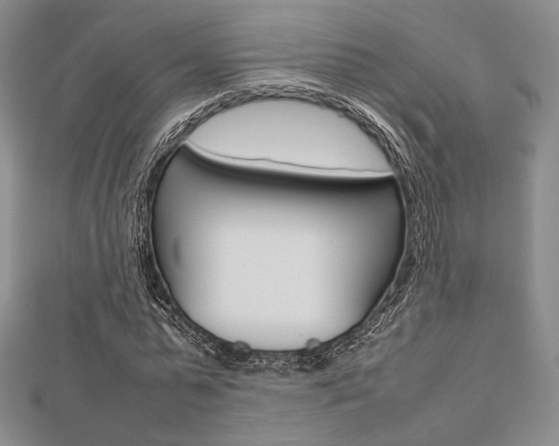 X0000112810775200908210937