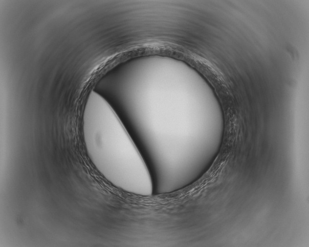 X0000112810776200908210937