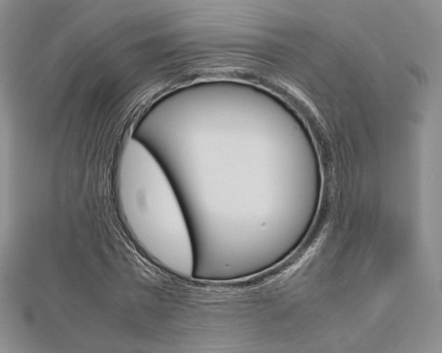 X0000112810777200908210937