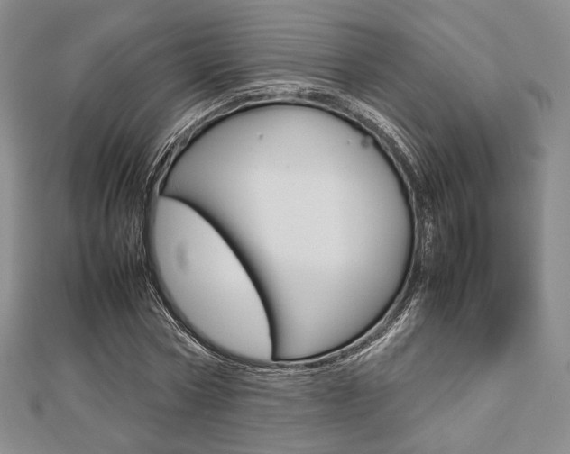 X0000112810778200908210937
