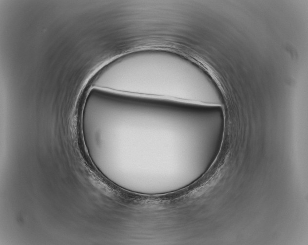 X0000112810779200908210937