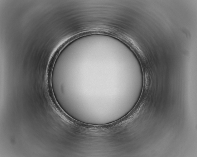 X0000112810780200908210937