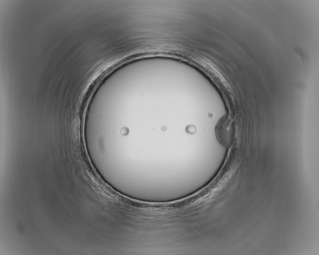 X0000112810781200908210937