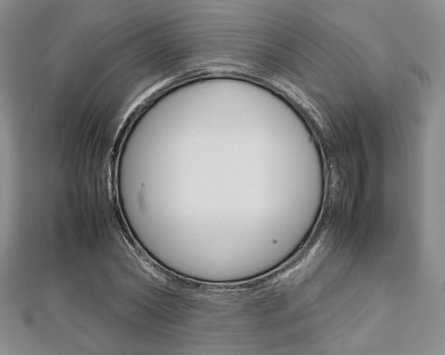 X0000112810782200908210937