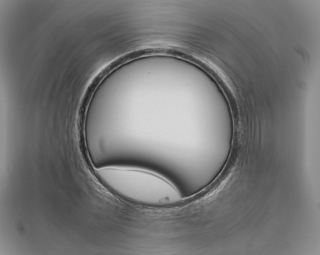X0000112810783200908210937